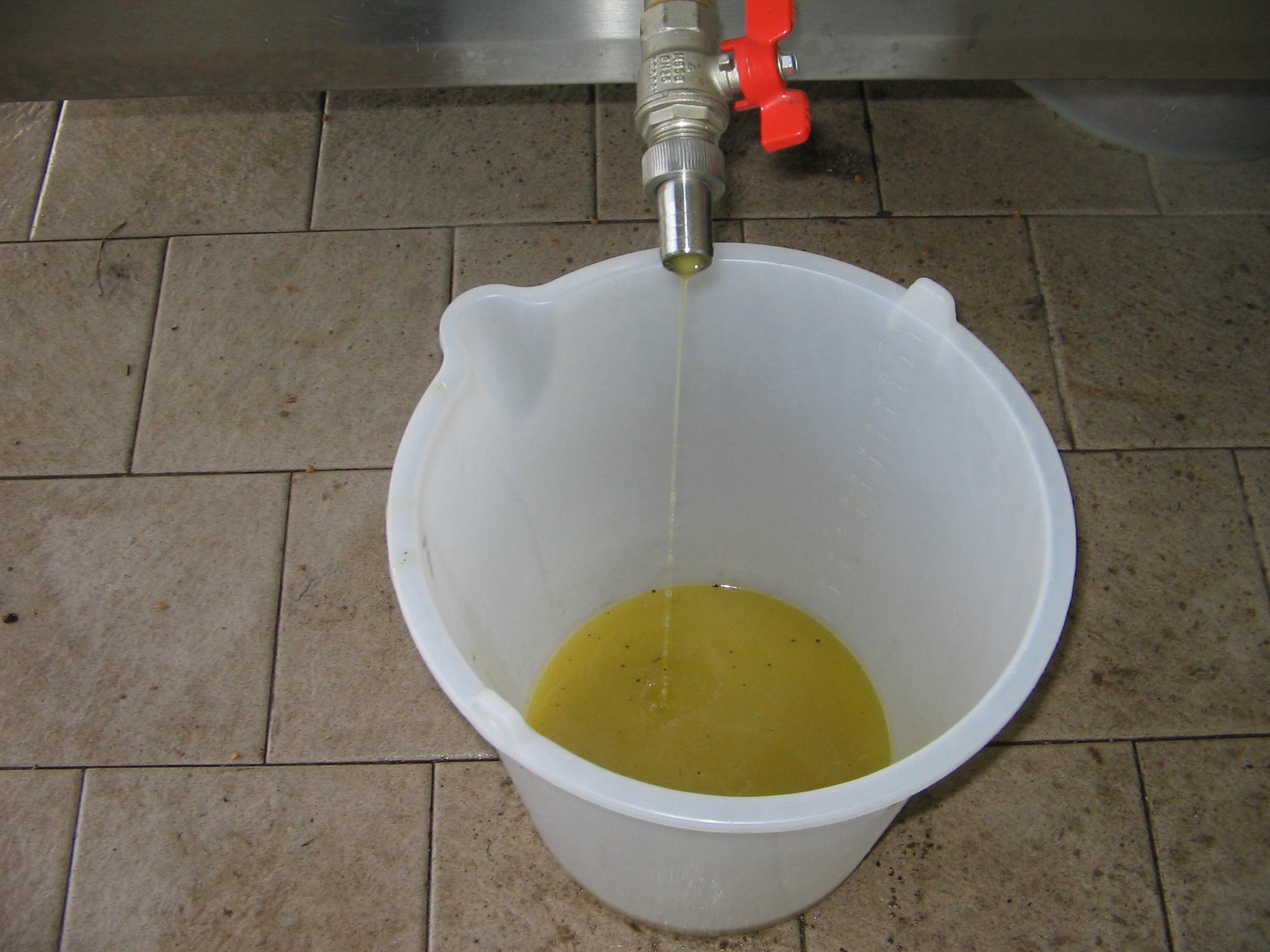 Azienda agraria: produzione olio