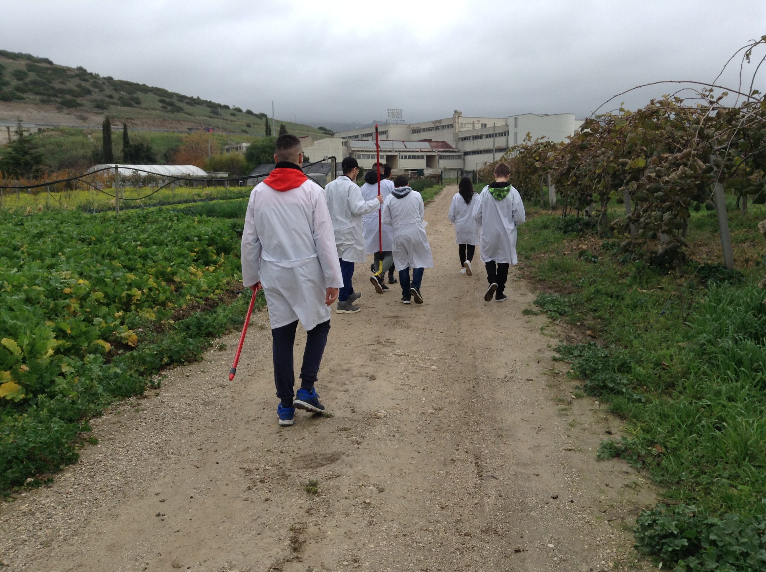 Azienda agraria: produzione olio