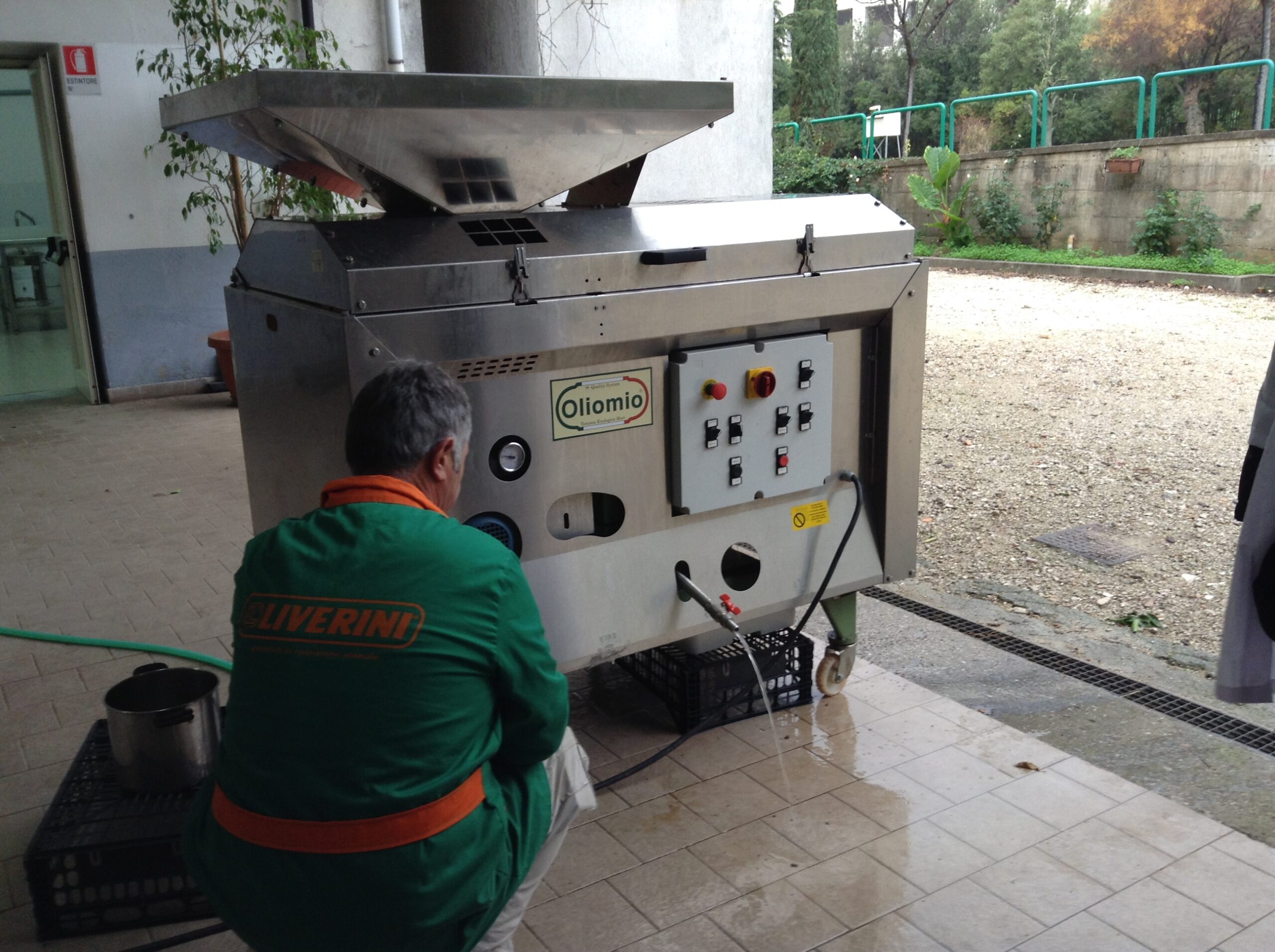 Azienda agraria: produzione olio