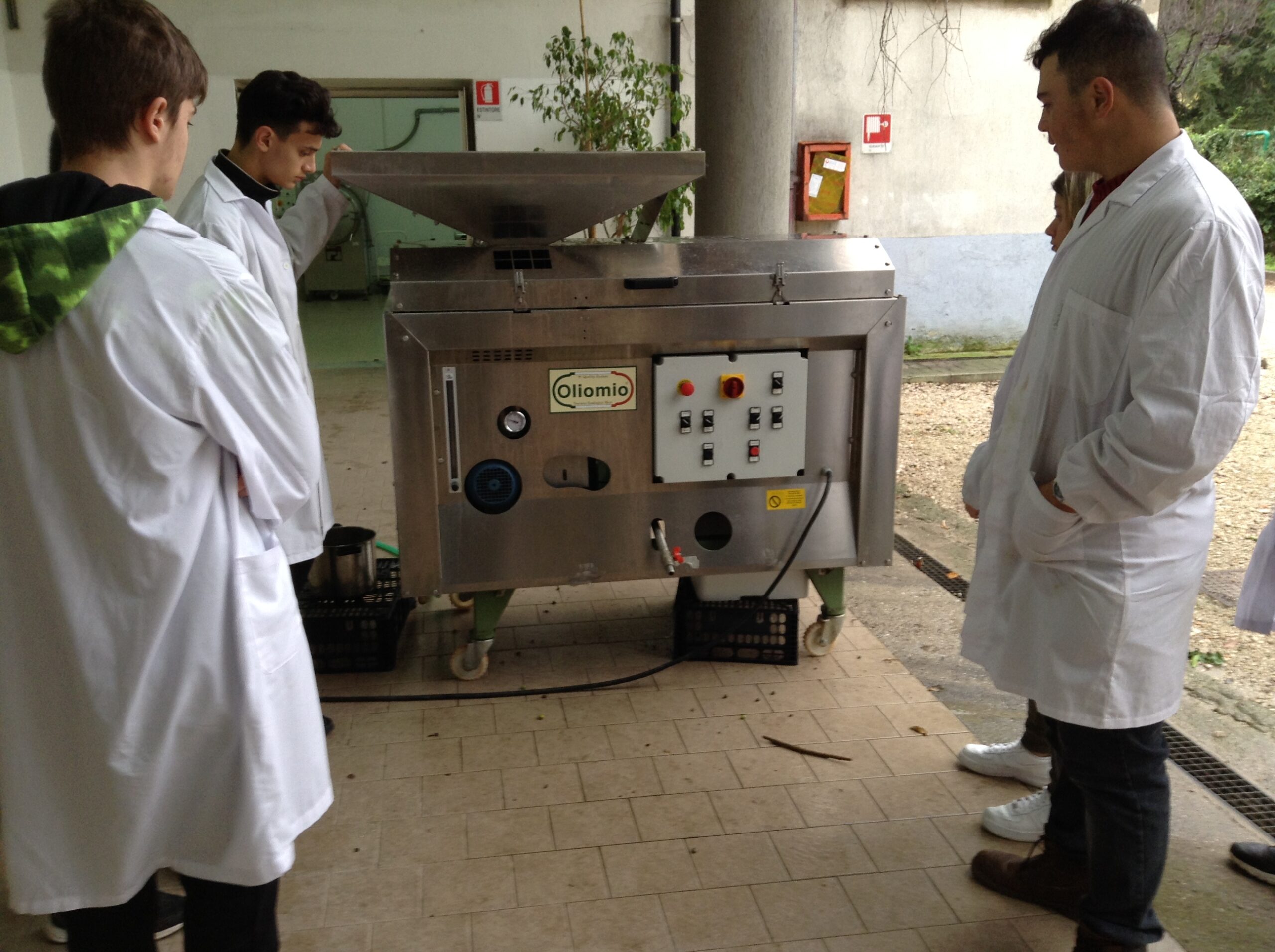 Azienda agraria: produzione olio