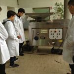 Azienda agraria: produzione olio