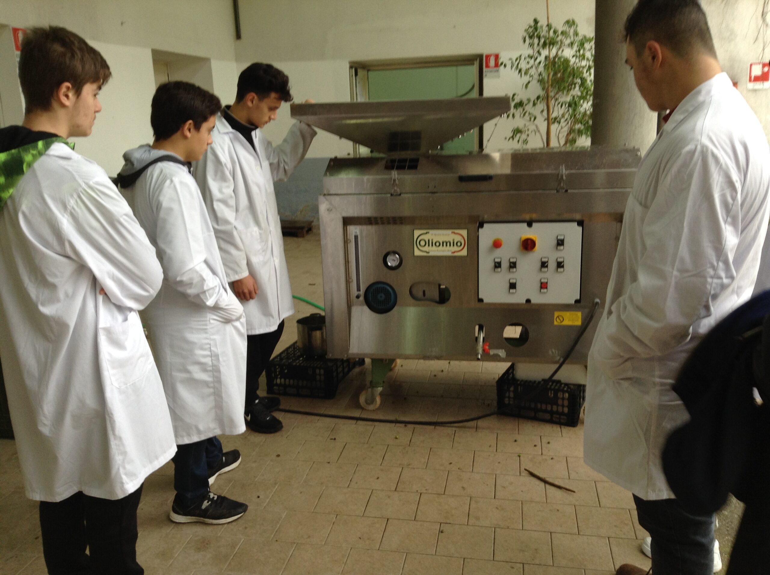 Azienda agraria: produzione olio