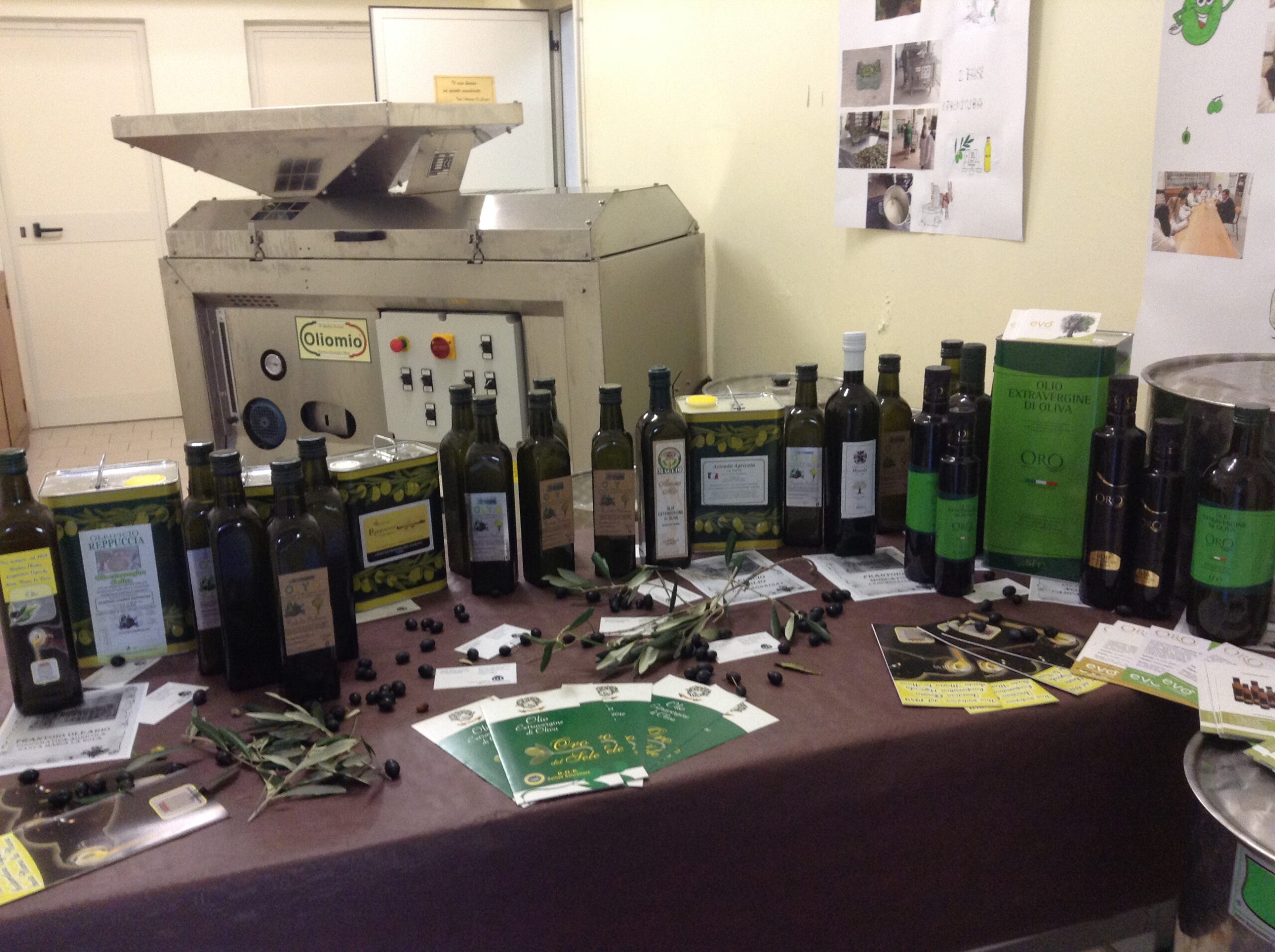 Azienda agraria: produzione olio