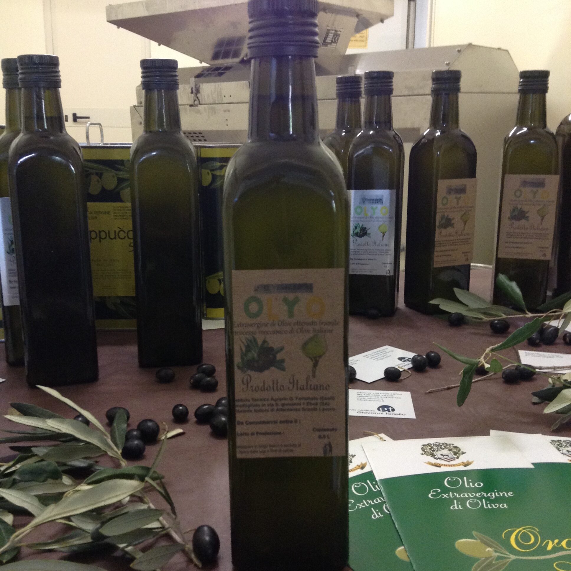 Azienda agraria: produzione olio
