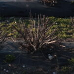 Azienda agraria
