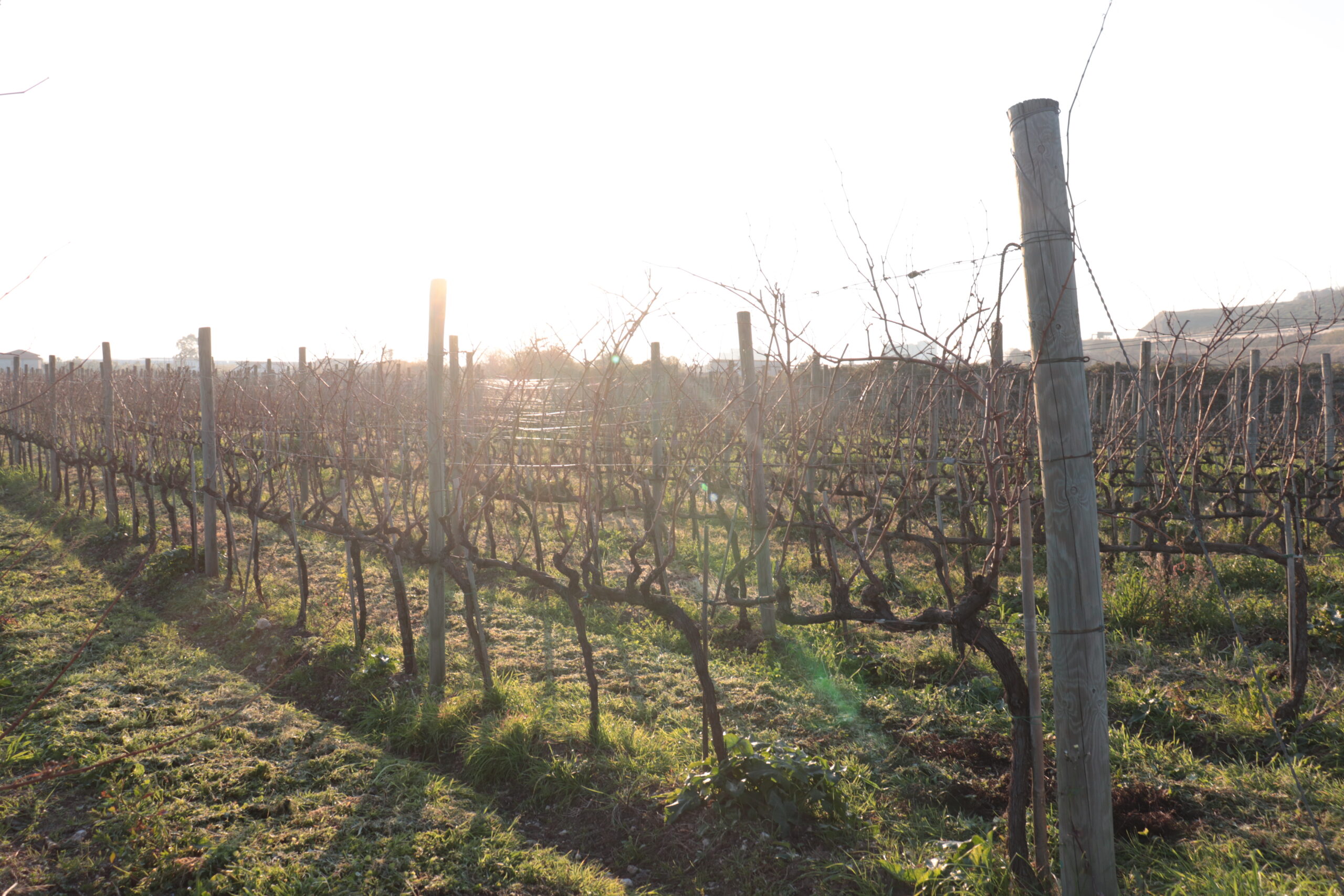 Azienda agraria