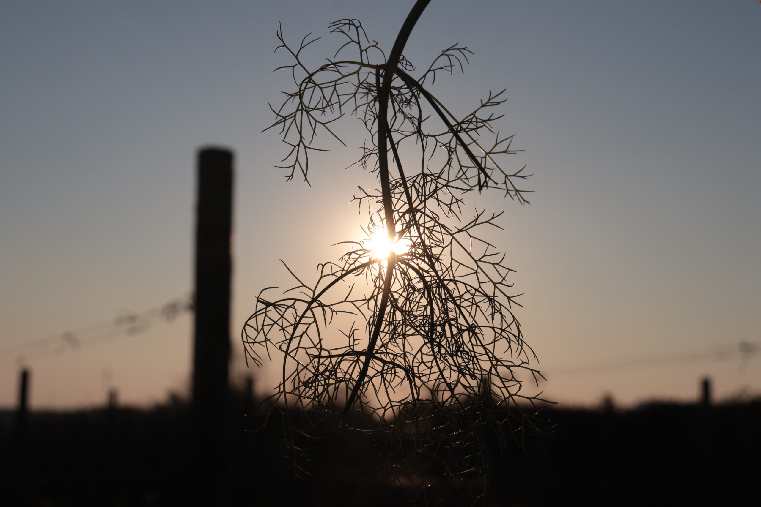 Azienda agraria