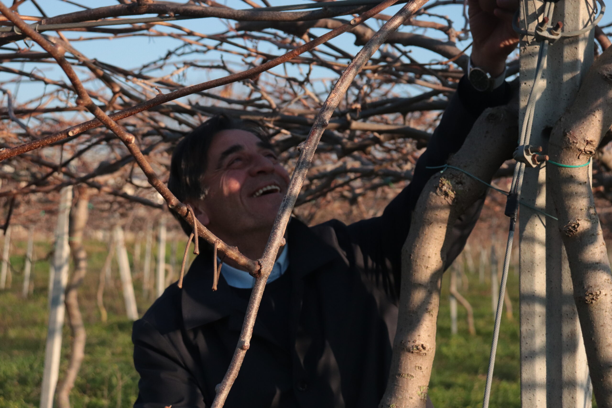 Azienda agraria