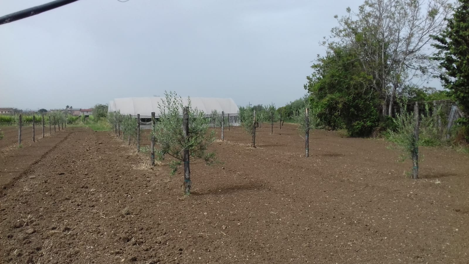 Azienda agraria