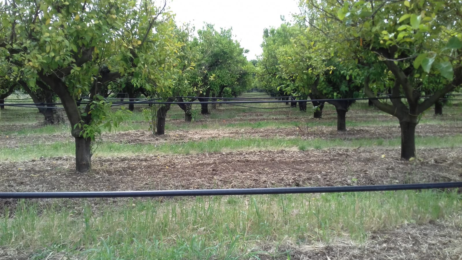 Azienda agraria
