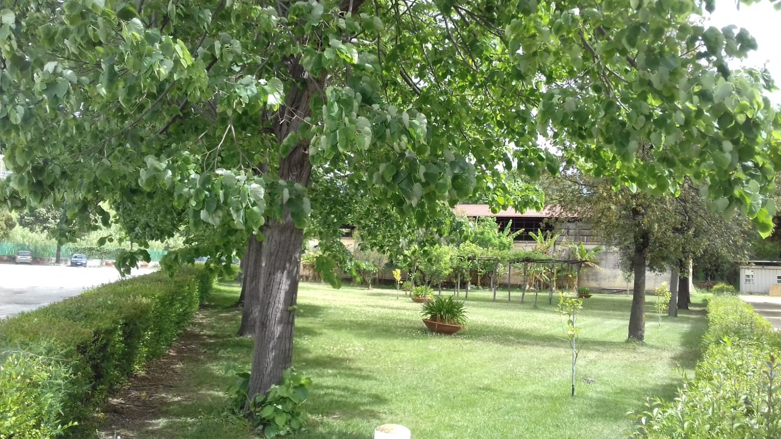 Azienda agraria