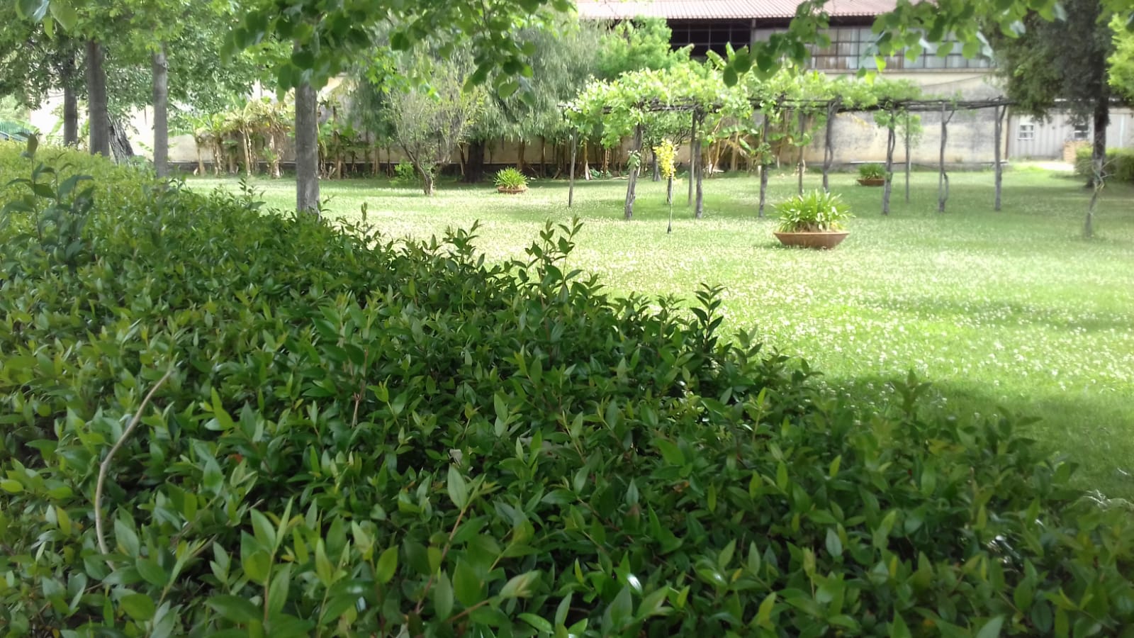 Azienda agraria