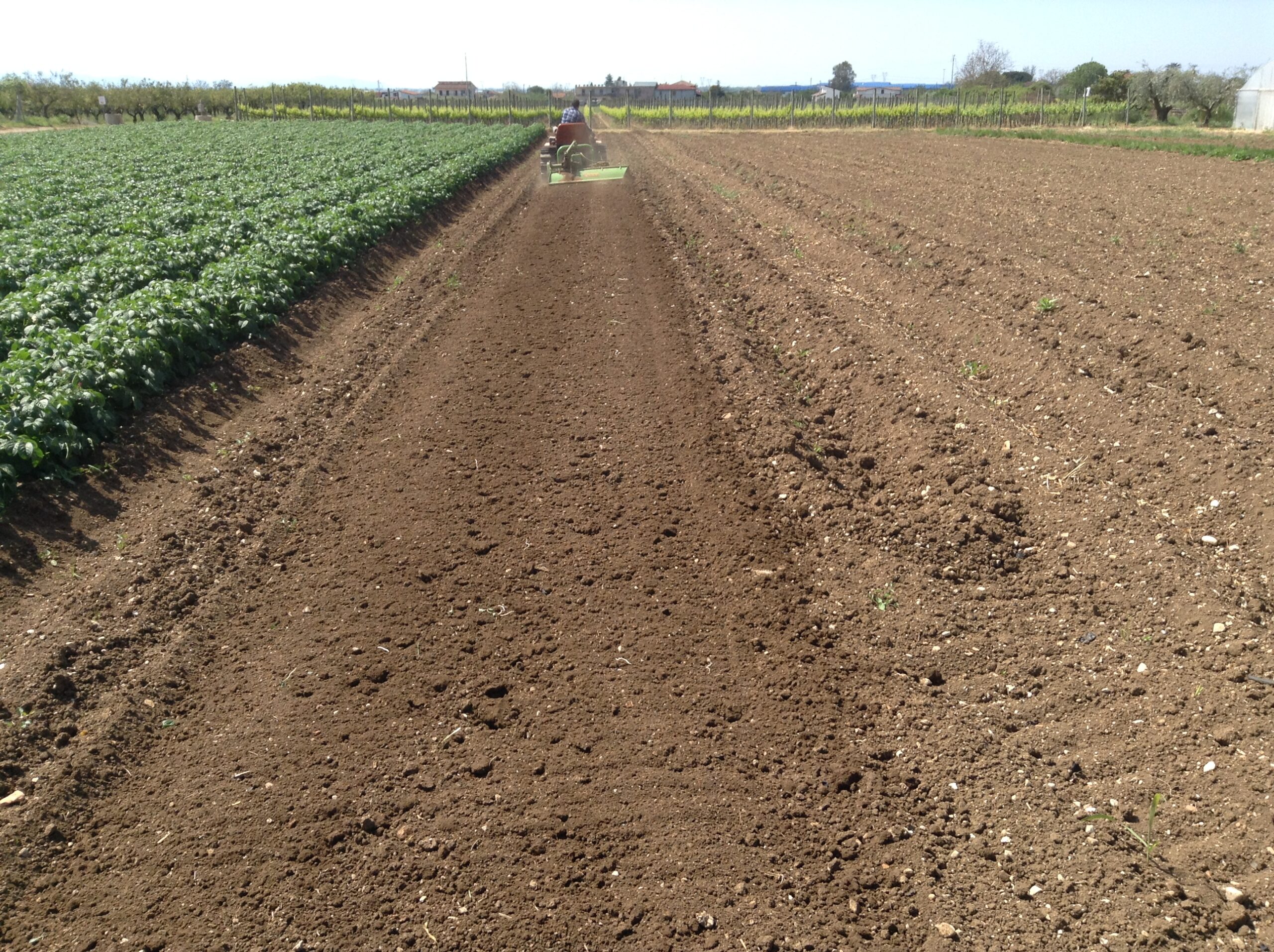Azienda agraria