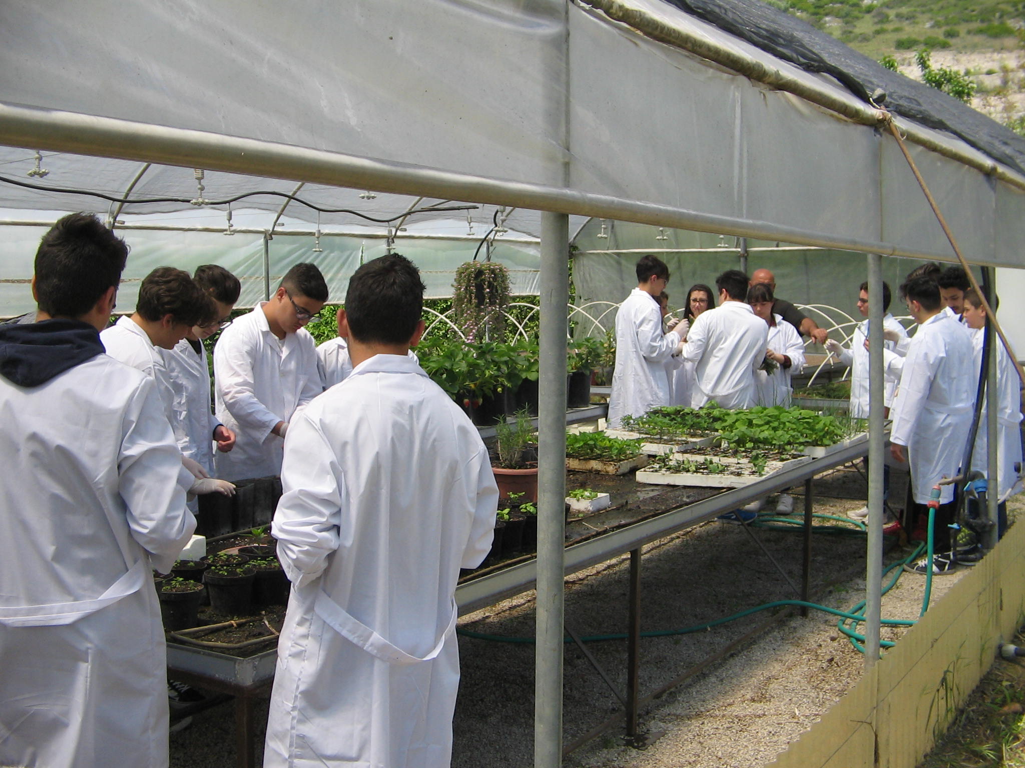 Azienda agraria