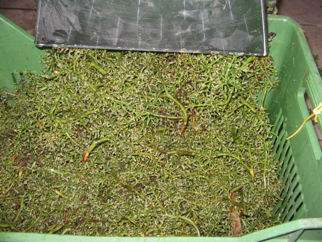 Azienda agraria