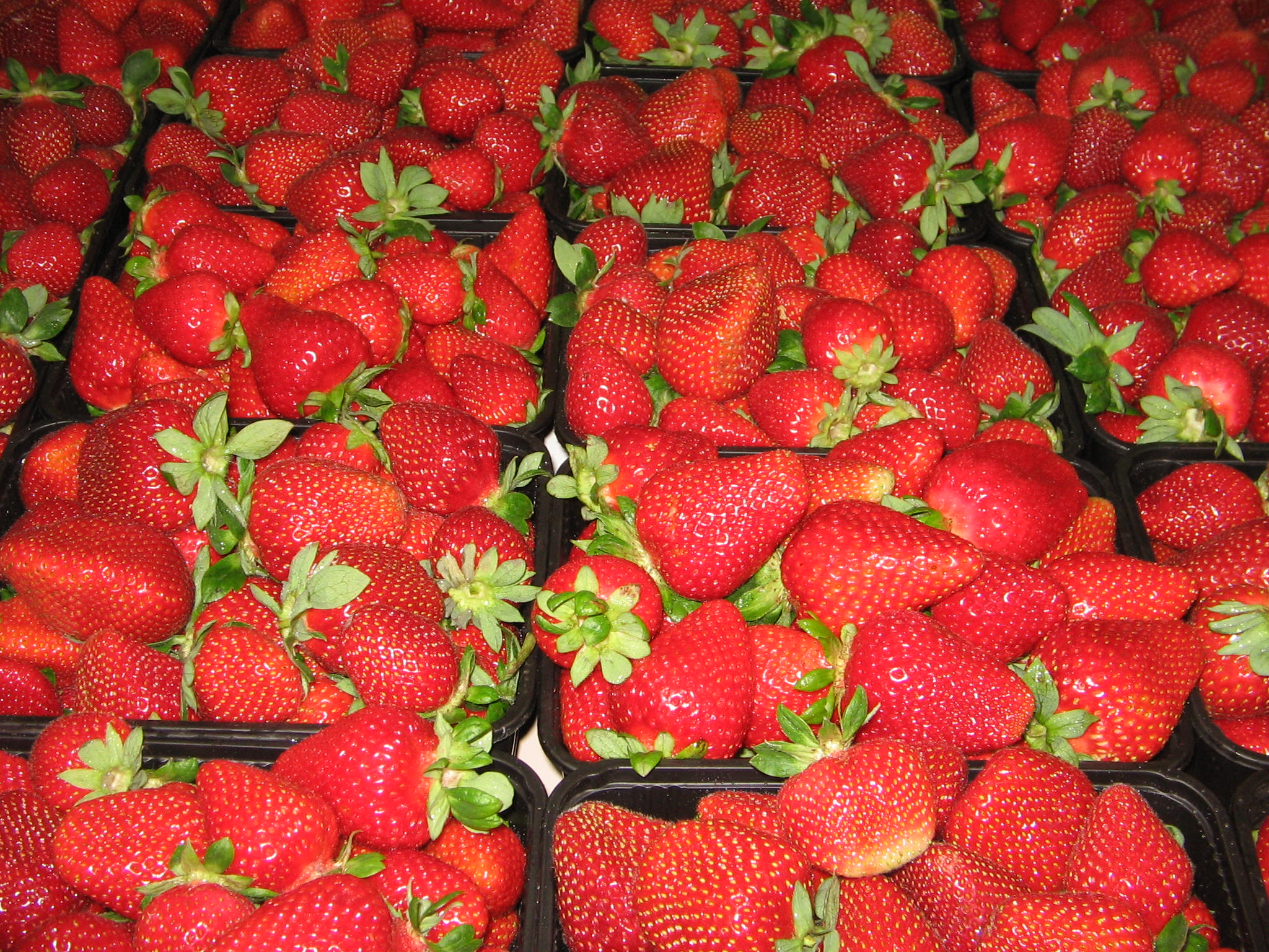 Azienda agraria