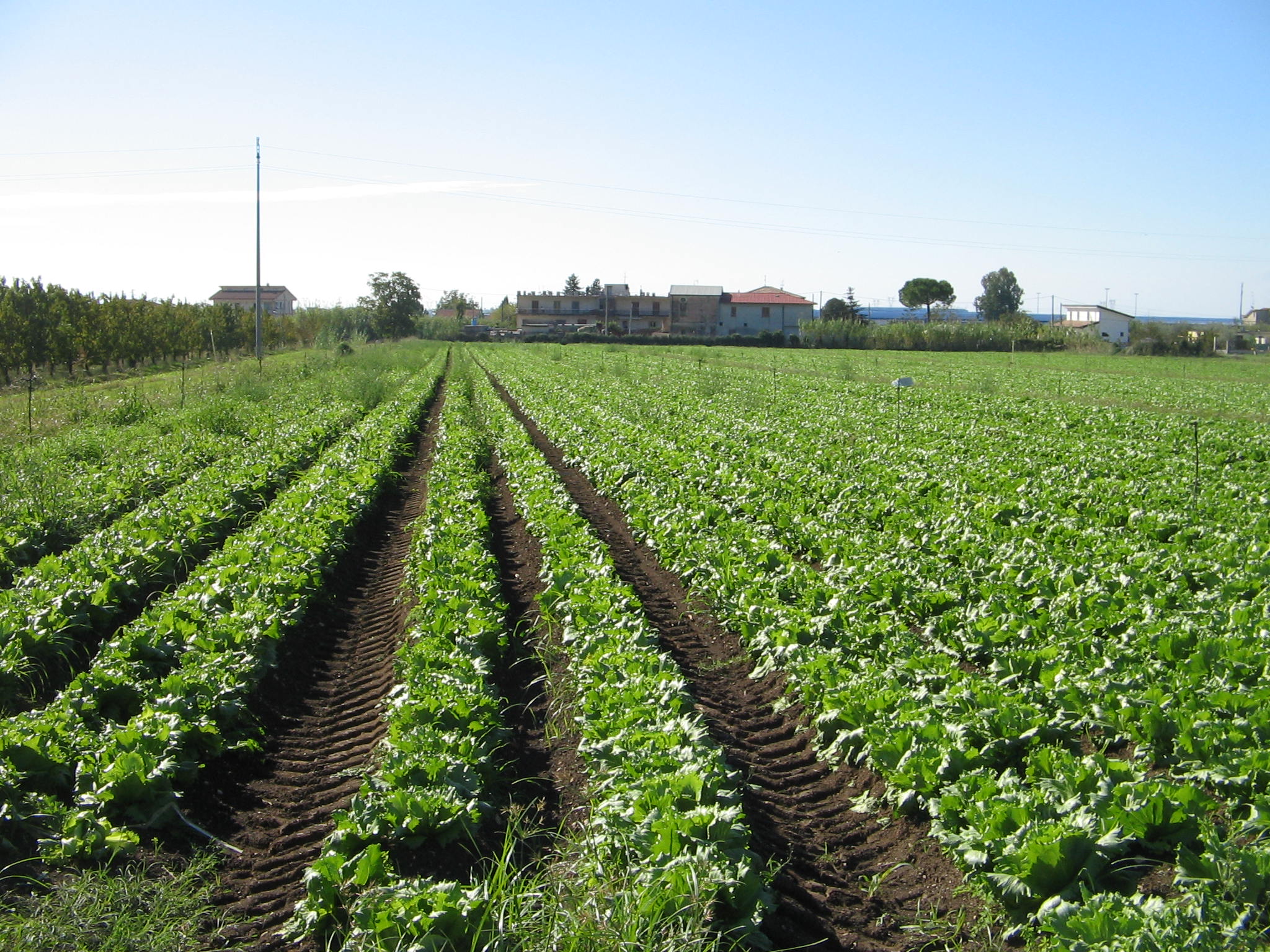 Azienda agraria
