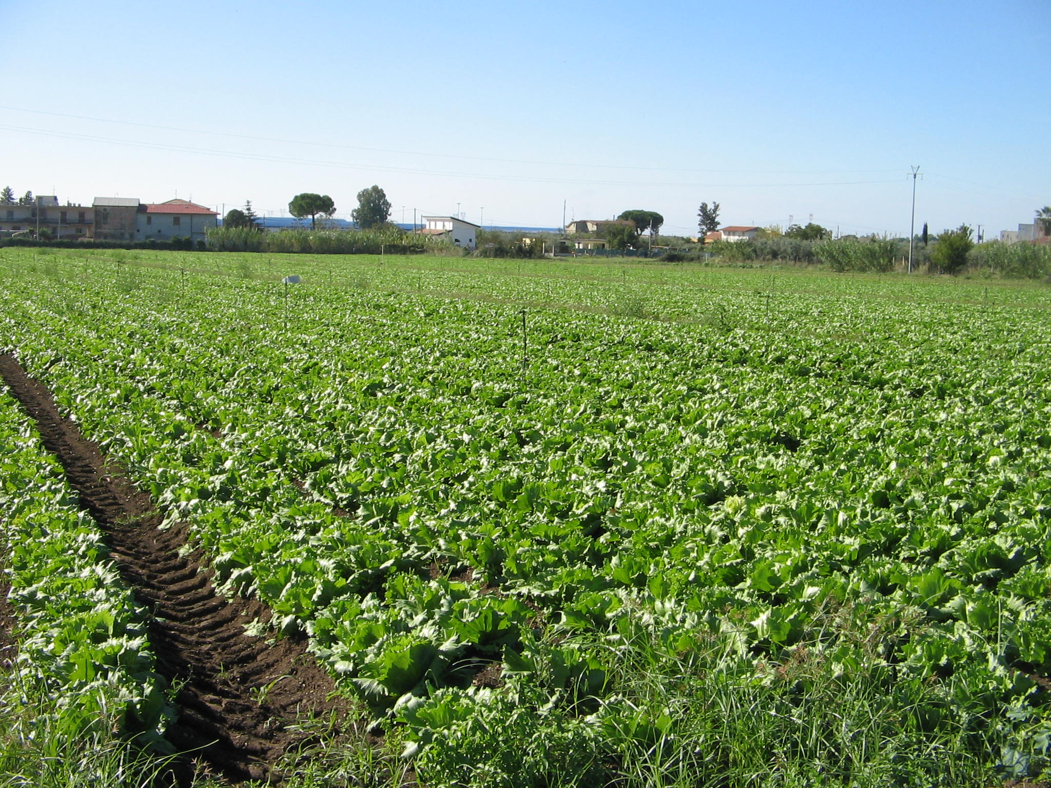 Azienda agraria