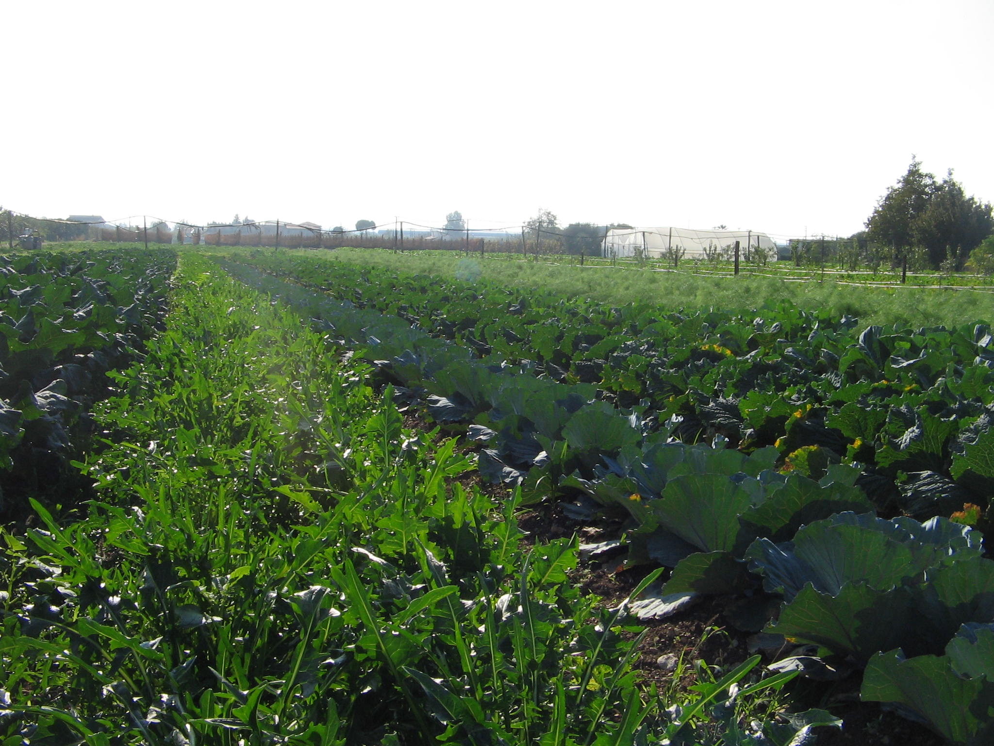 Azienda agraria
