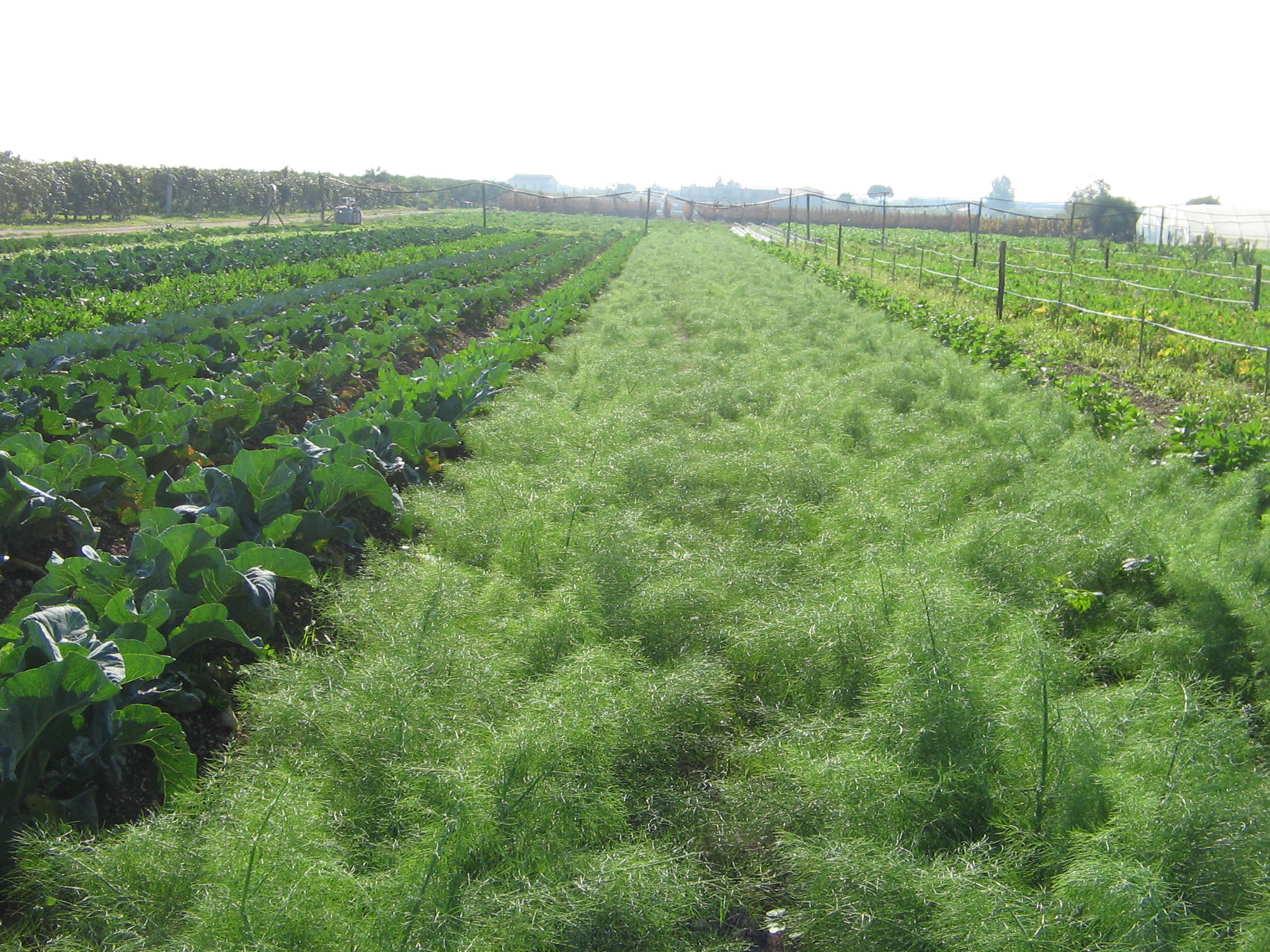 Azienda agraria