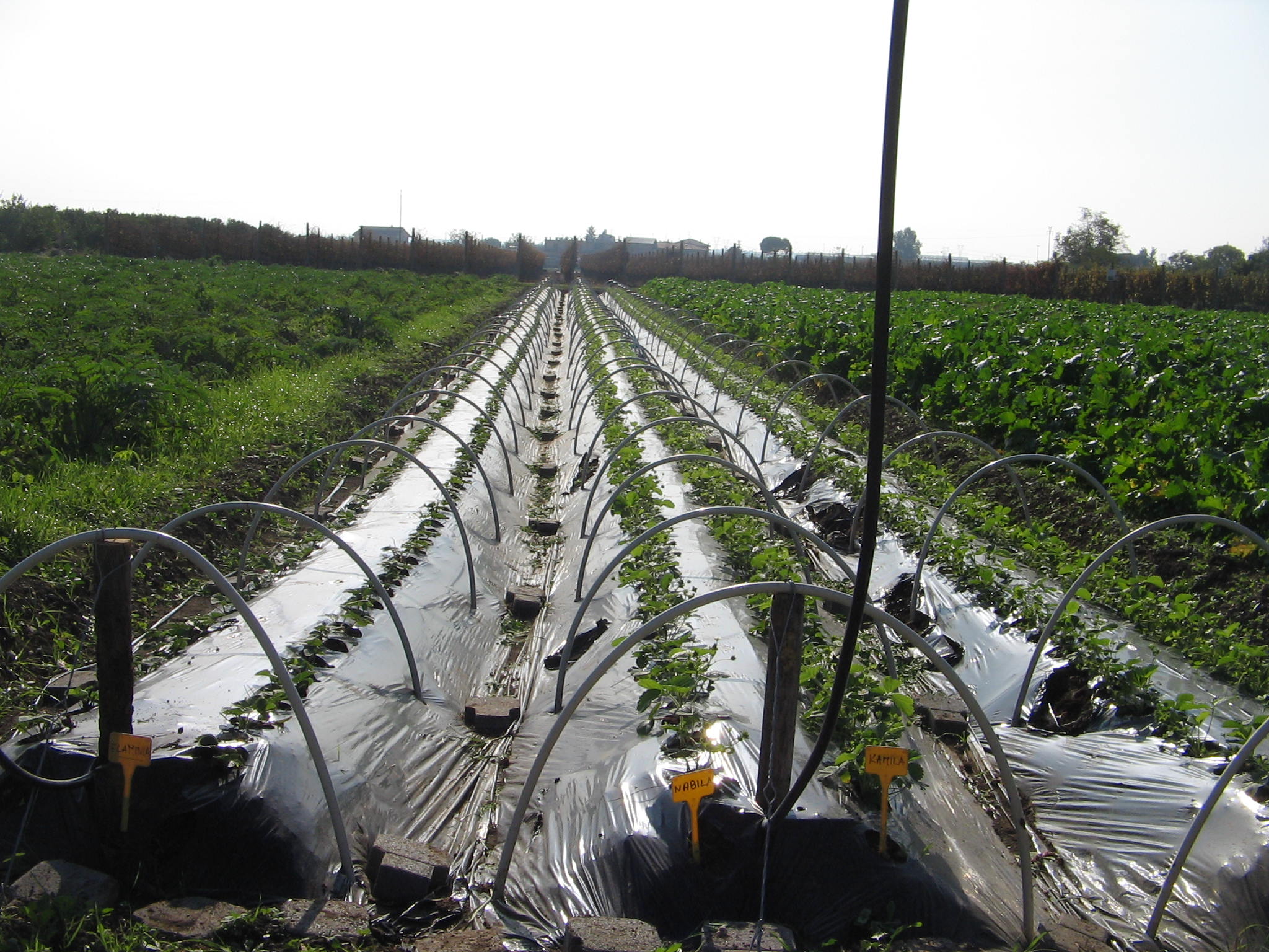 Azienda agraria