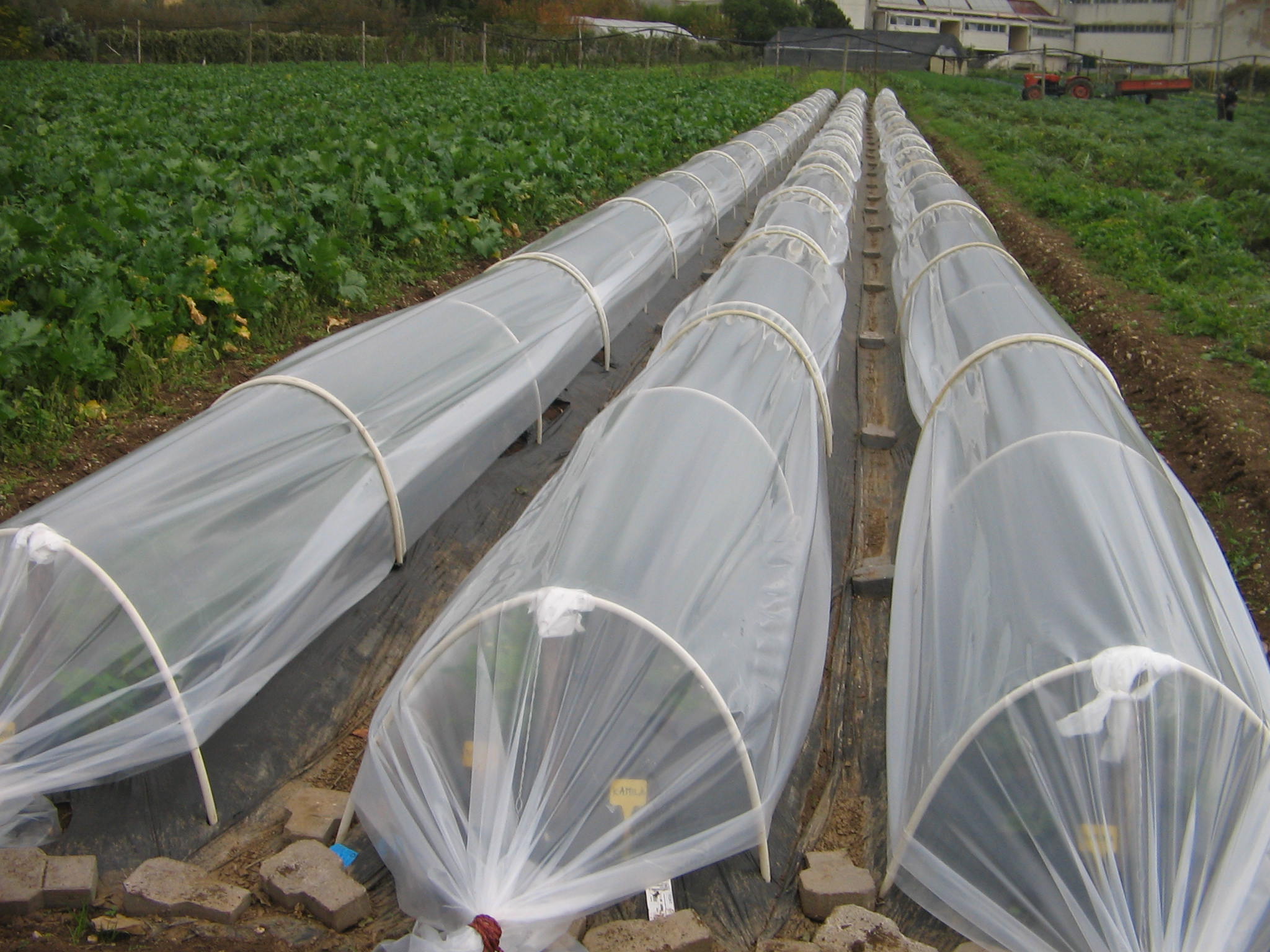 Azienda agraria