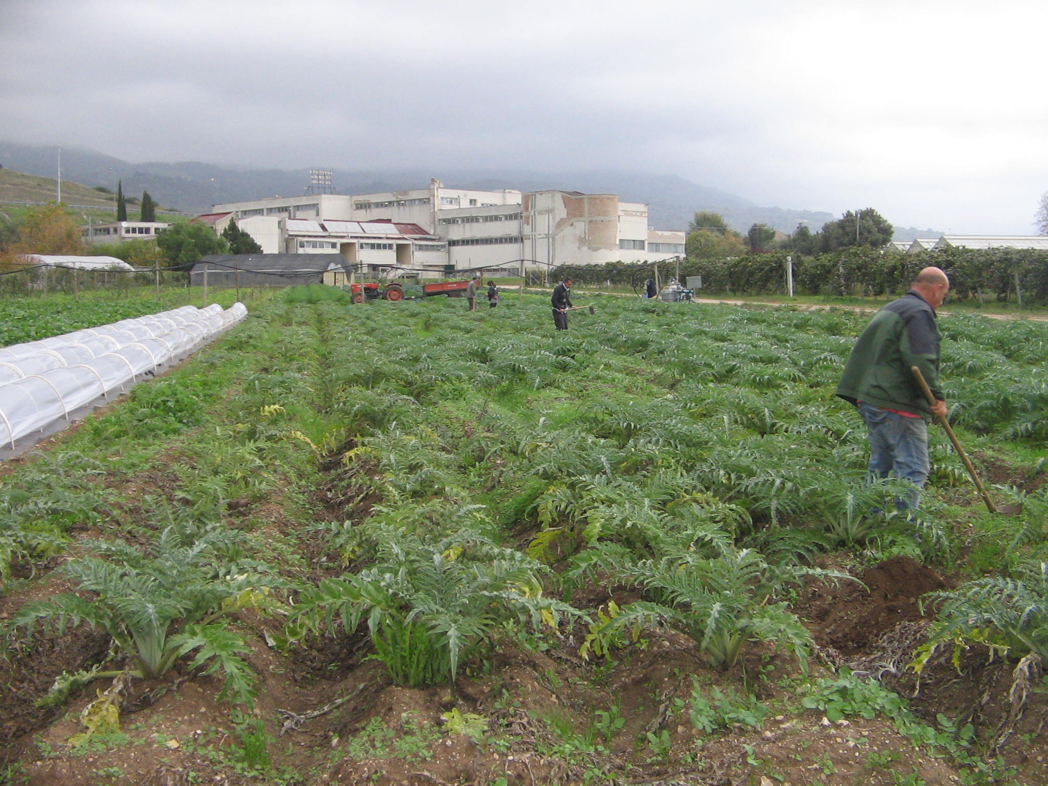 Azienda agraria
