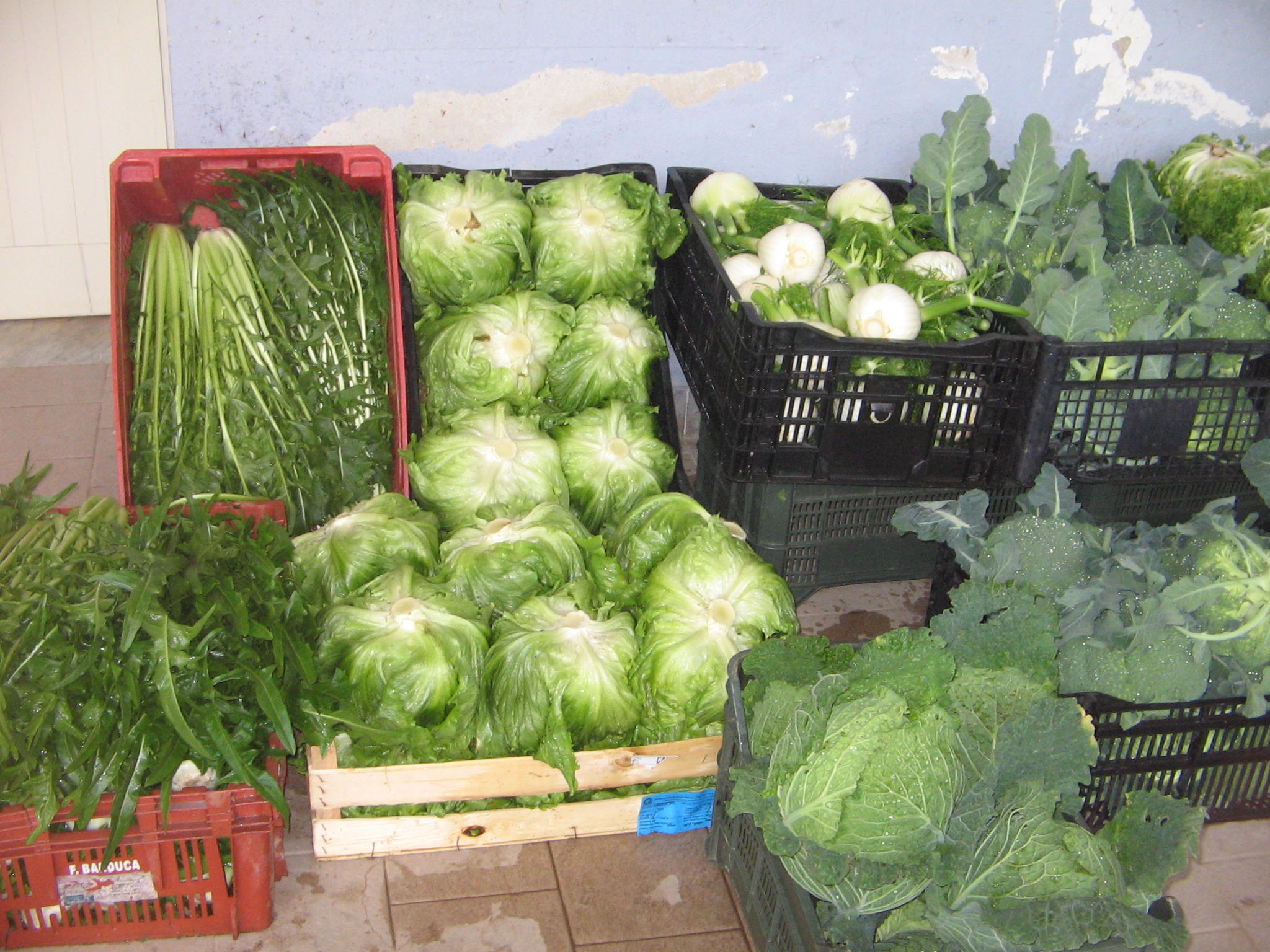 Azienda agraria