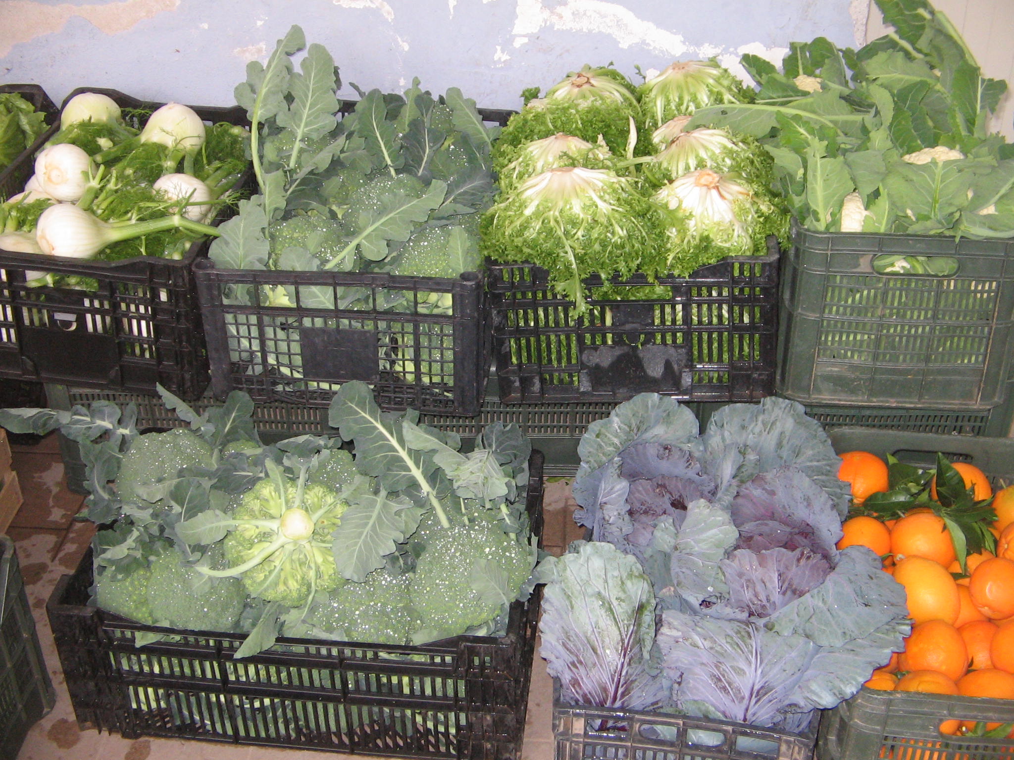 Azienda agraria