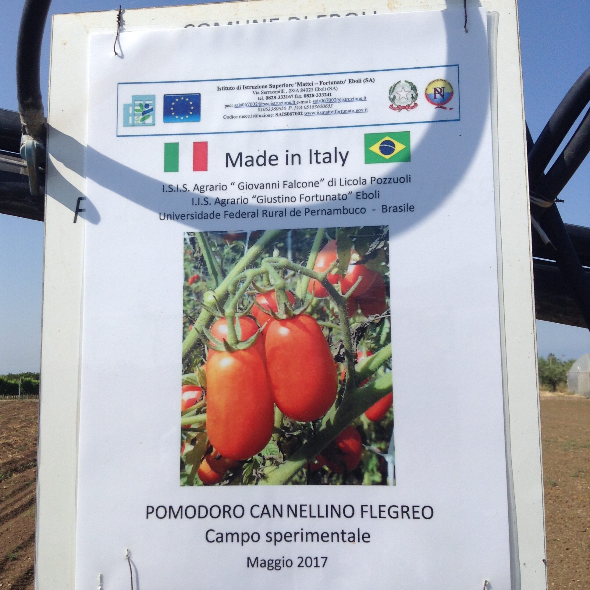 Azienda agraria