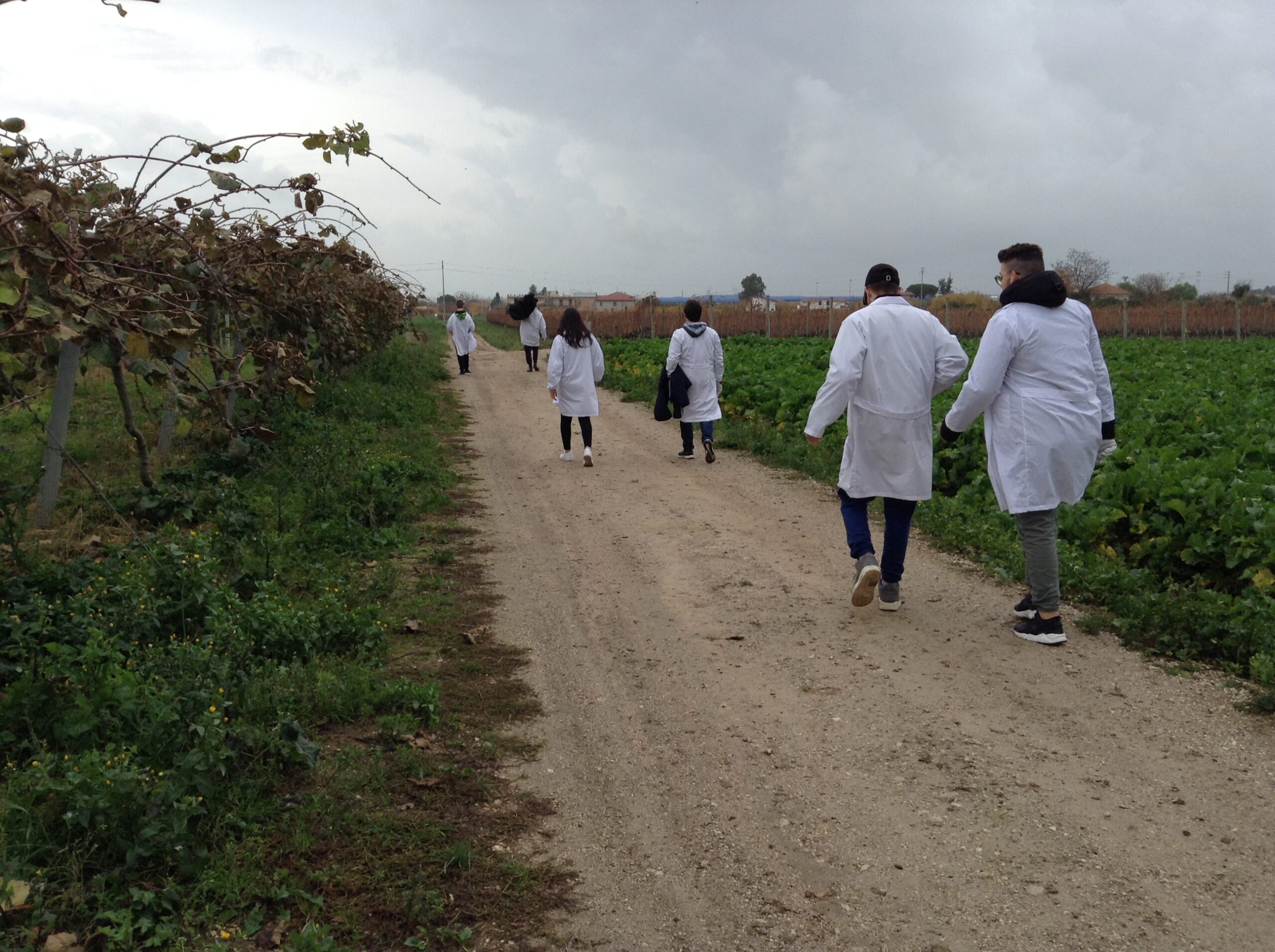 Azienda agraria