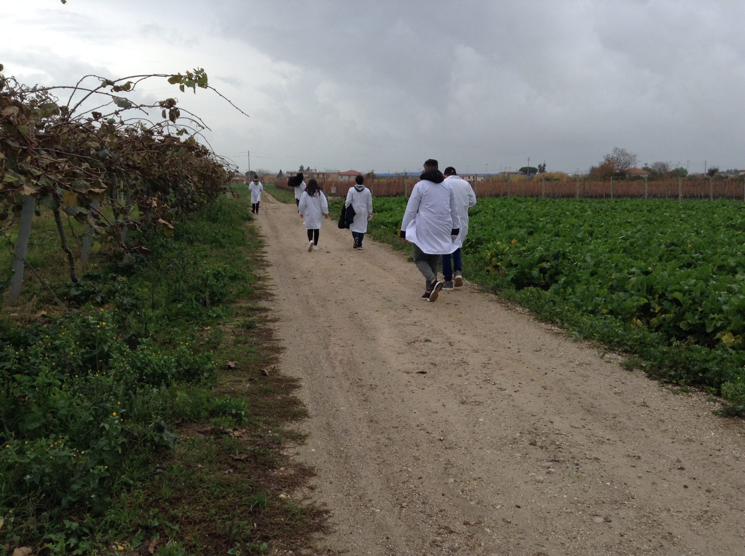Azienda agraria