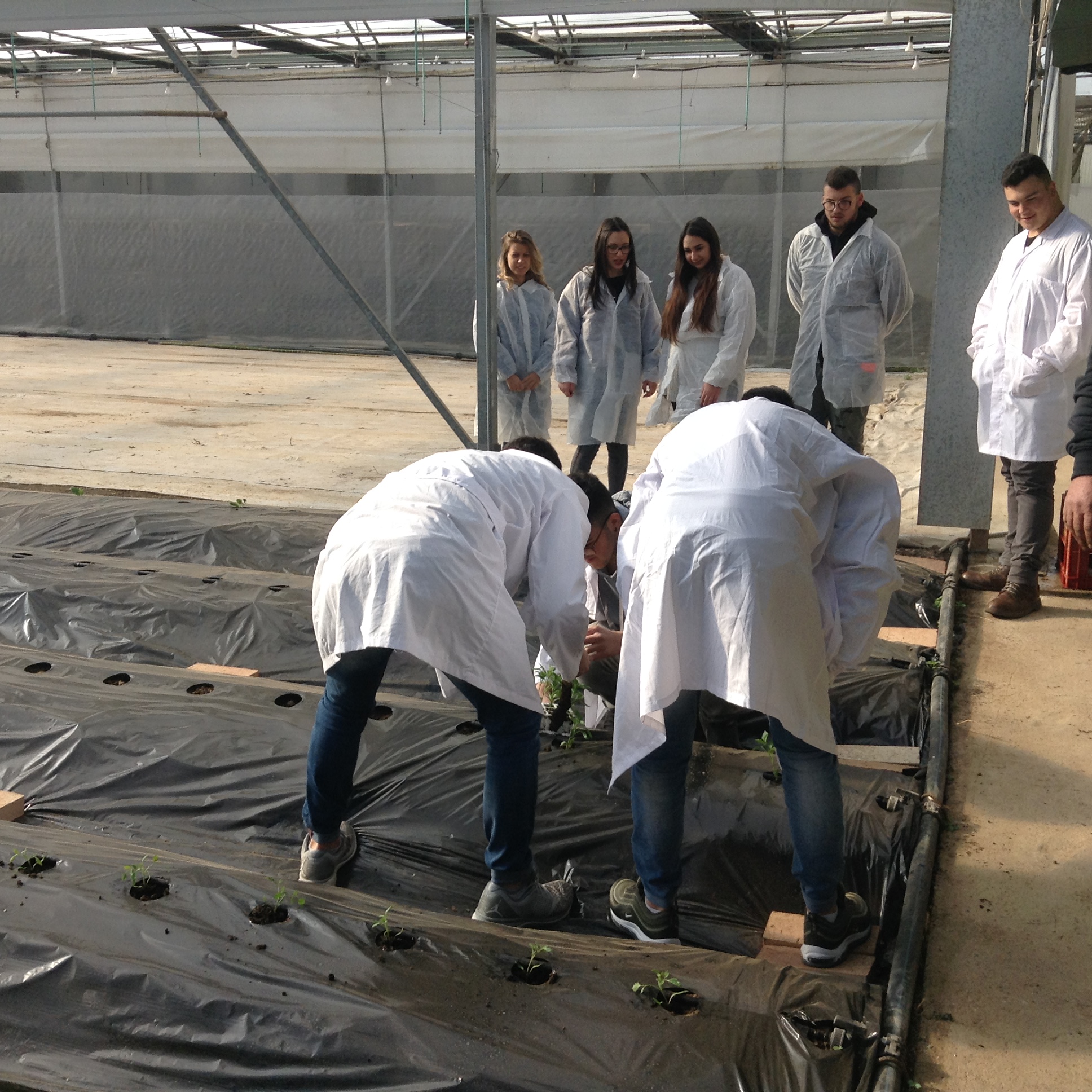 Azienda agraria