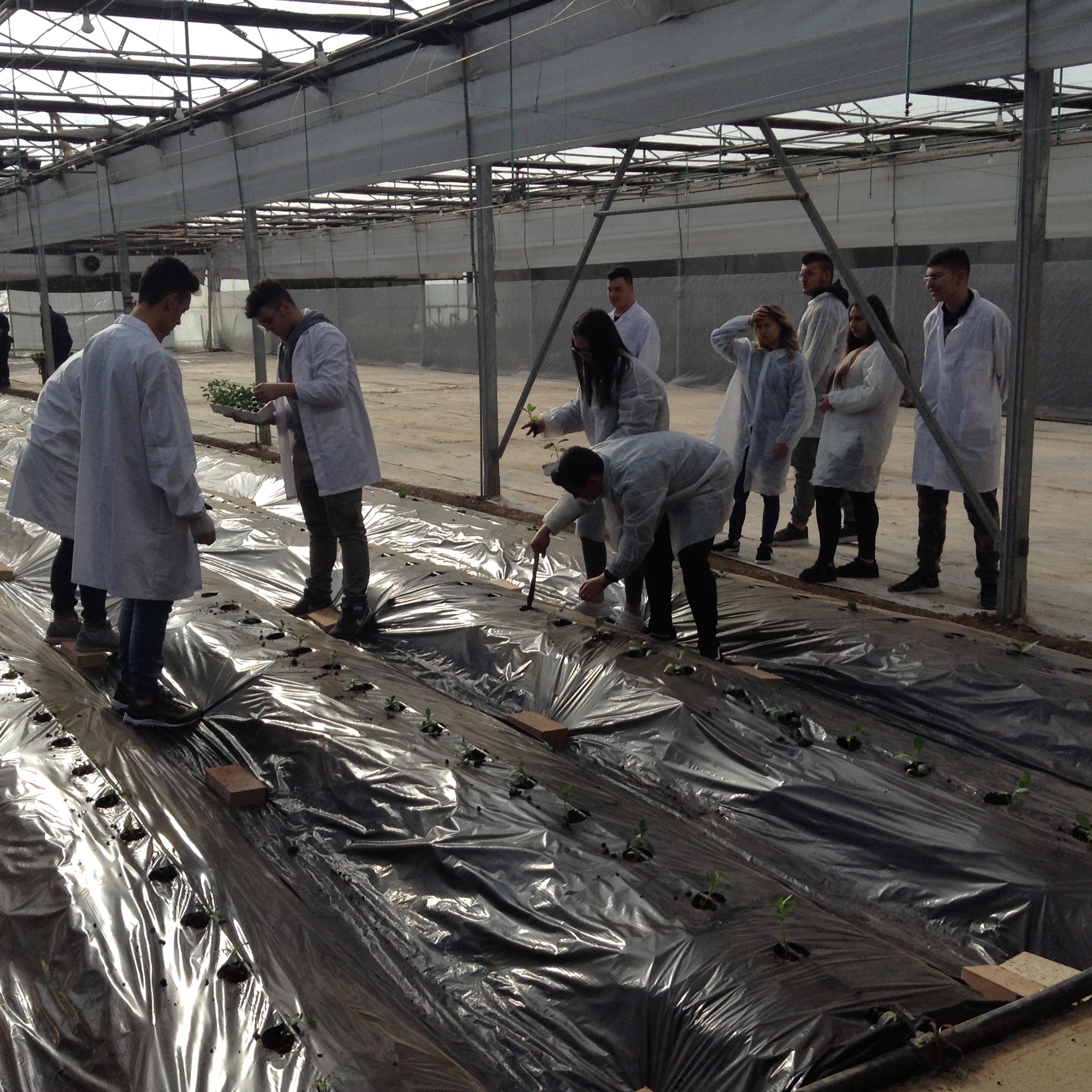 Azienda agraria