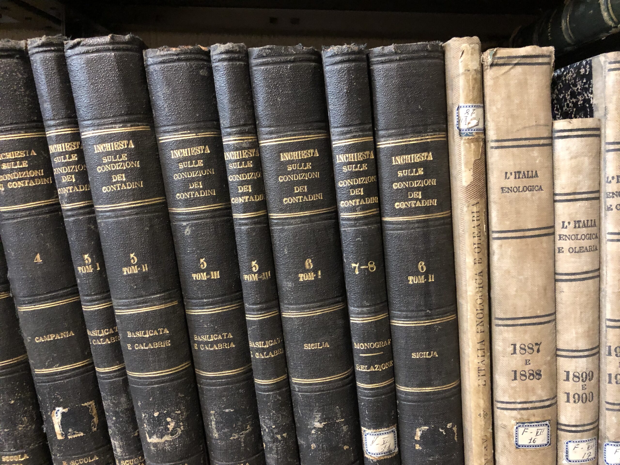 Biblioteca Interna
