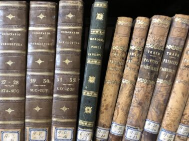 Biblioteca Interna
