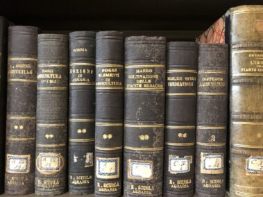 Biblioteca Interna