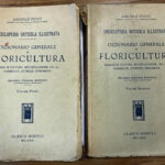 Biblioteca, testi