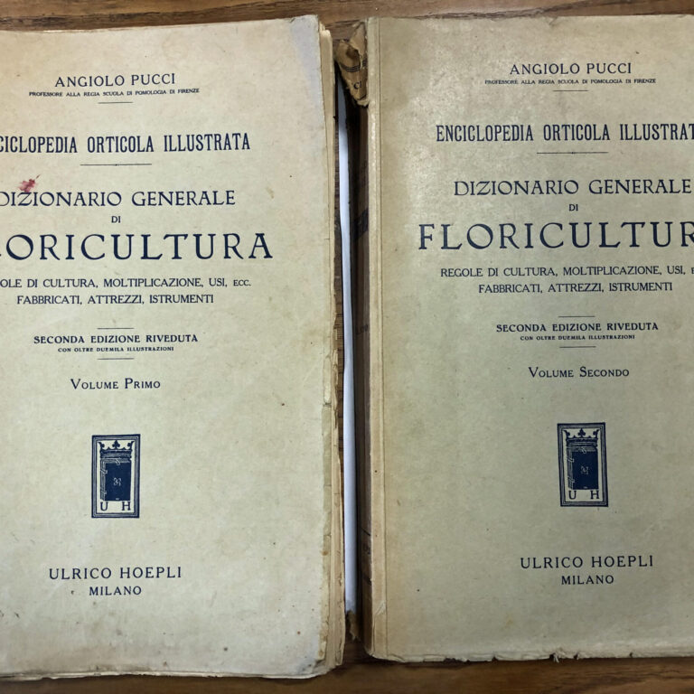 Biblioteca, testi