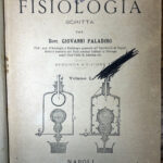 Biblioteca, testi