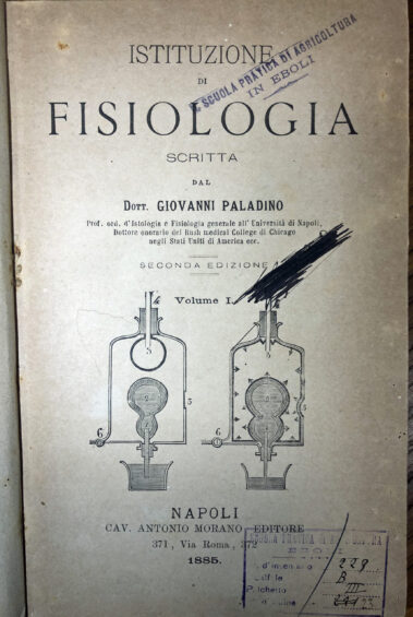 Biblioteca, testi