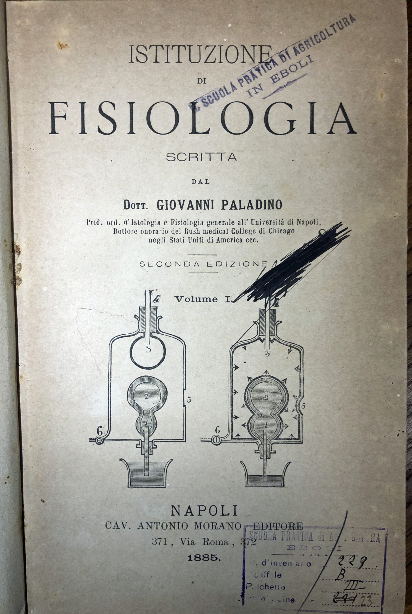 Biblioteca, testi
