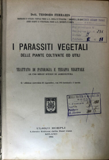 Biblioteca, testi