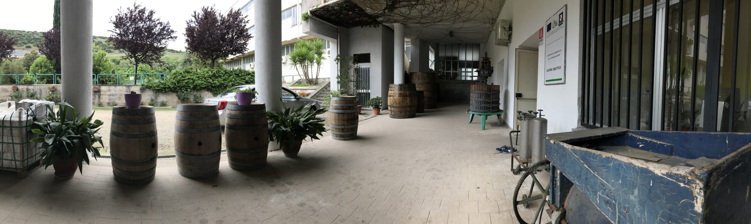Cantina