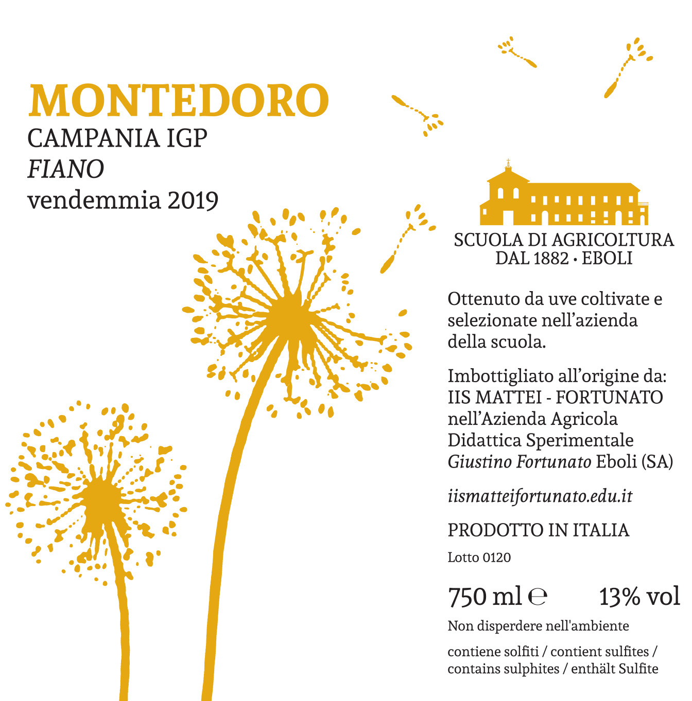 Casarsa Campania IGP Fiano Vendemmia 2019