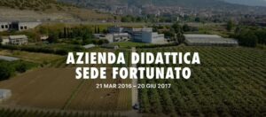 Caption video InVolo Azienda 2017