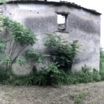 Mulino a macina