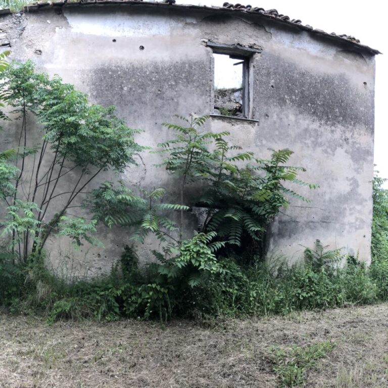 Mulino a macina
