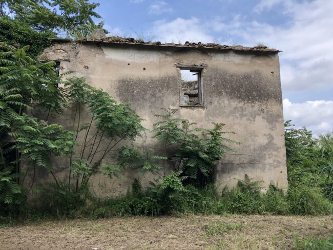 Mulino a macina