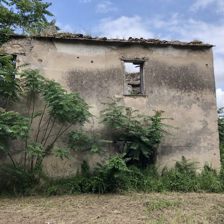 Mulino a macina